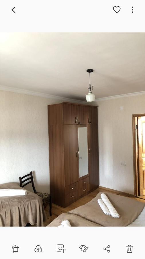 Ekaterine Guest House カズベギ エクステリア 写真