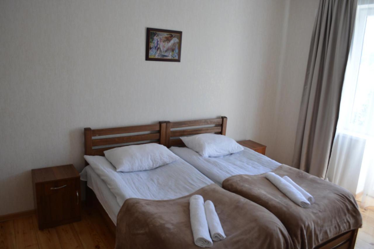 Ekaterine Guest House カズベギ エクステリア 写真