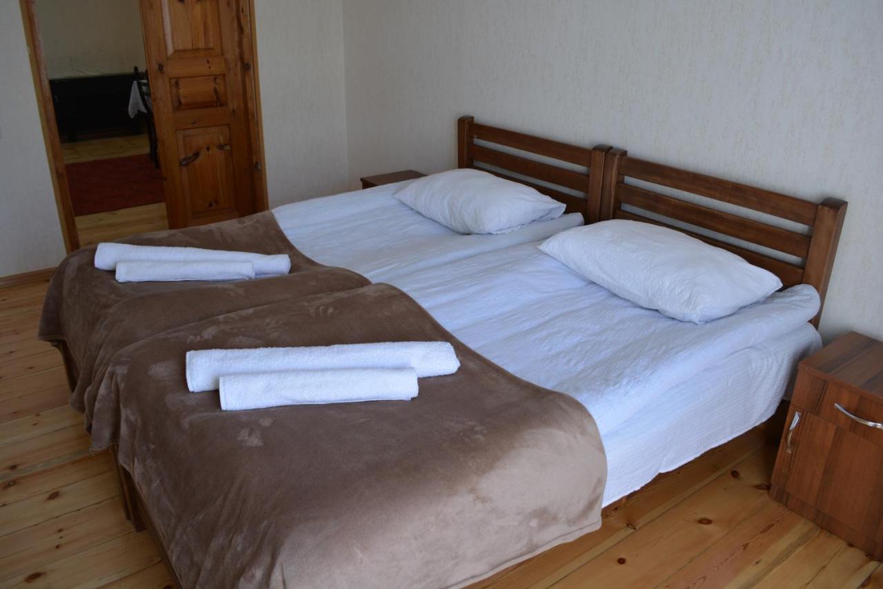 Ekaterine Guest House カズベギ エクステリア 写真